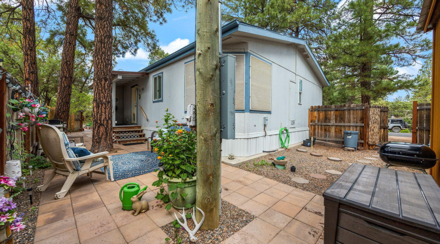 Back yard facing home