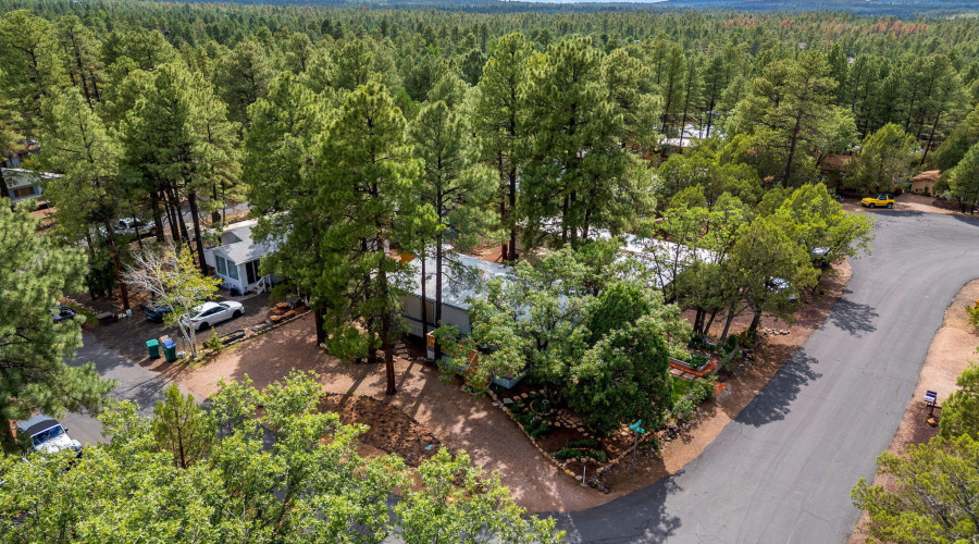 520N42ndDr-ShowLow-AZ-27