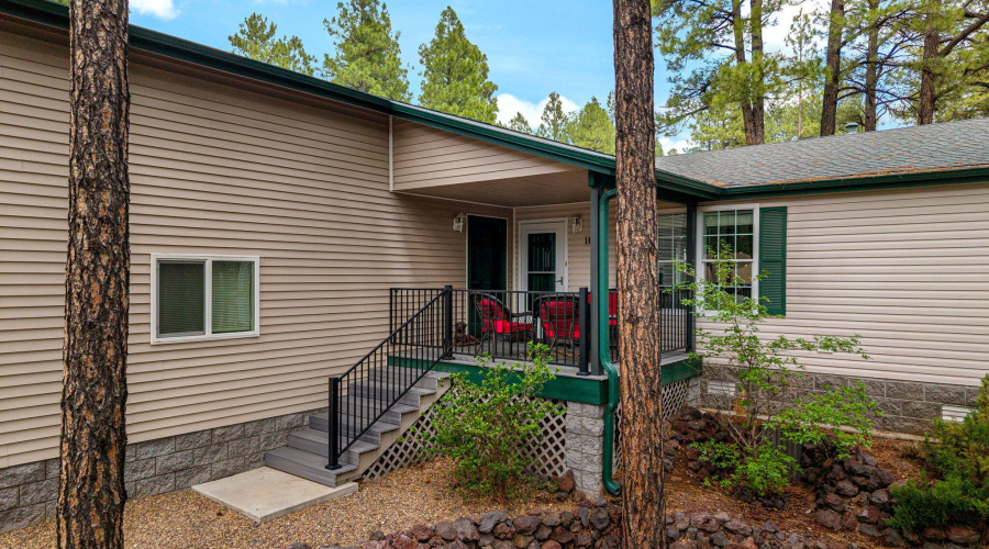 Nestled in the pines