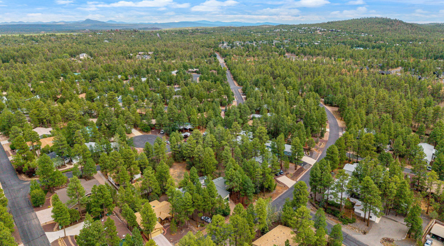 Aerial neighborhood view