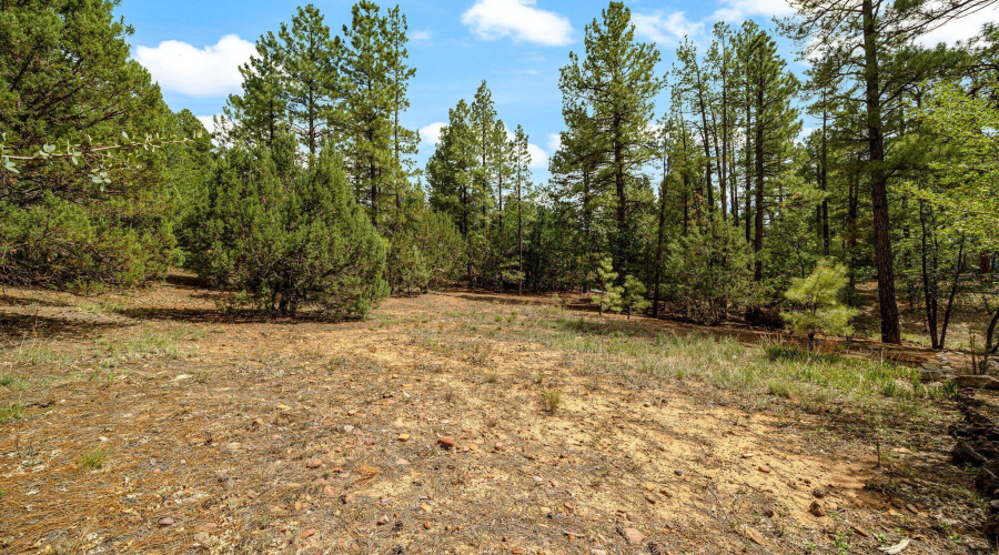 Additional land included