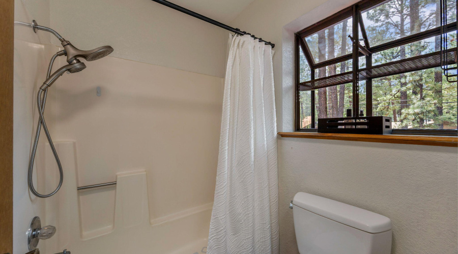 6367ChristmasTreeCir-Pinetop-AZ-18