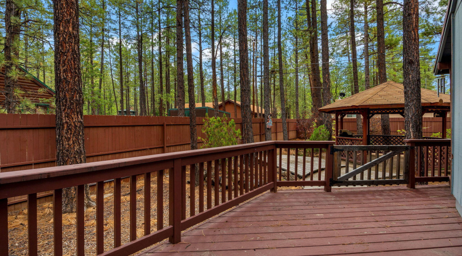 6367ChristmasTreeCir-Pinetop-AZ-23