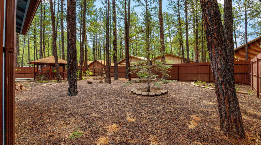 6367ChristmasTreeCir-Pinetop-AZ-27