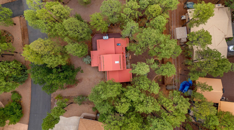 6367ChristmasTreeCir-Pinetop-AZ-29