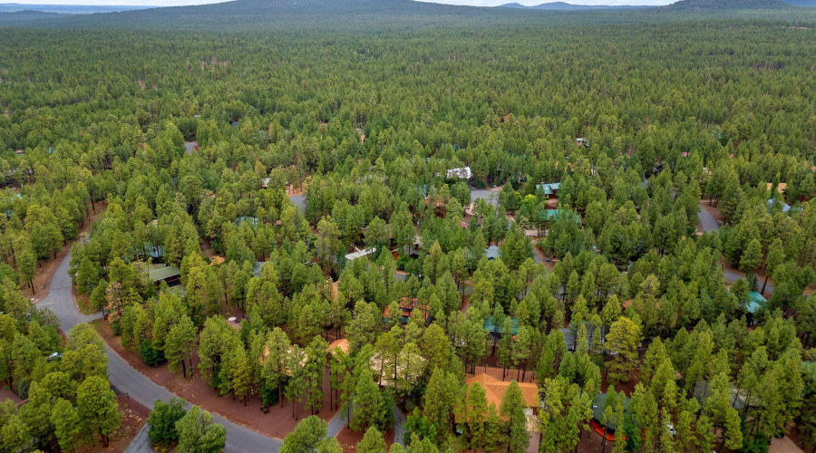 6367ChristmasTreeCir-Pinetop-AZ-30