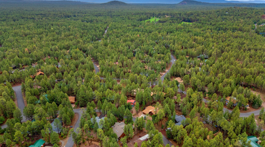 6367ChristmasTreeCir-Pinetop-AZ-31