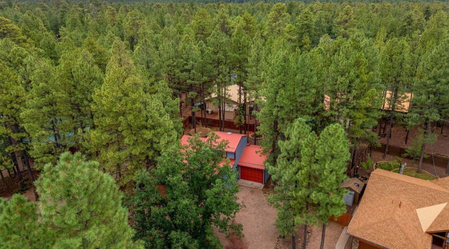 6367ChristmasTreeCir-Pinetop-AZ-32