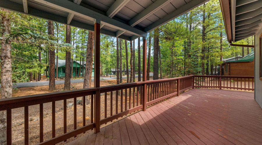 6367ChristmasTreeCir-Pinetop-AZ-5