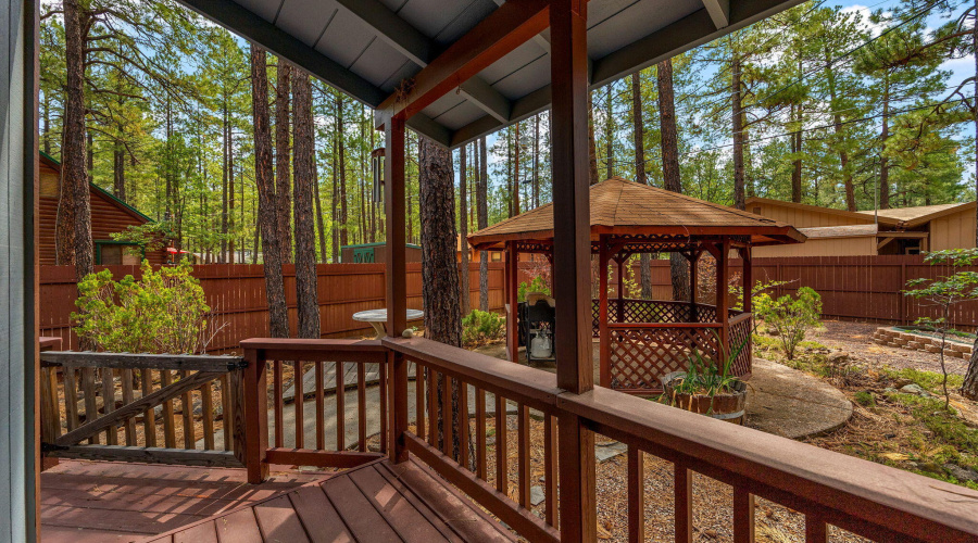 6367ChristmasTreeCir-Pinetop-AZ-22