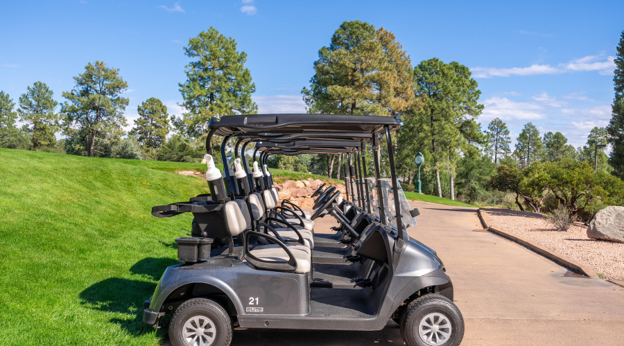 Chaparral Pines - 11