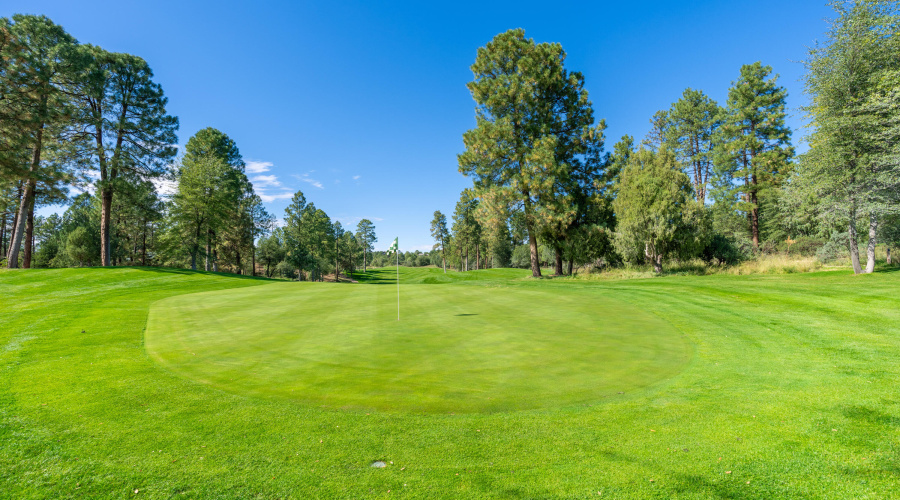 Chaparral Pines - 12