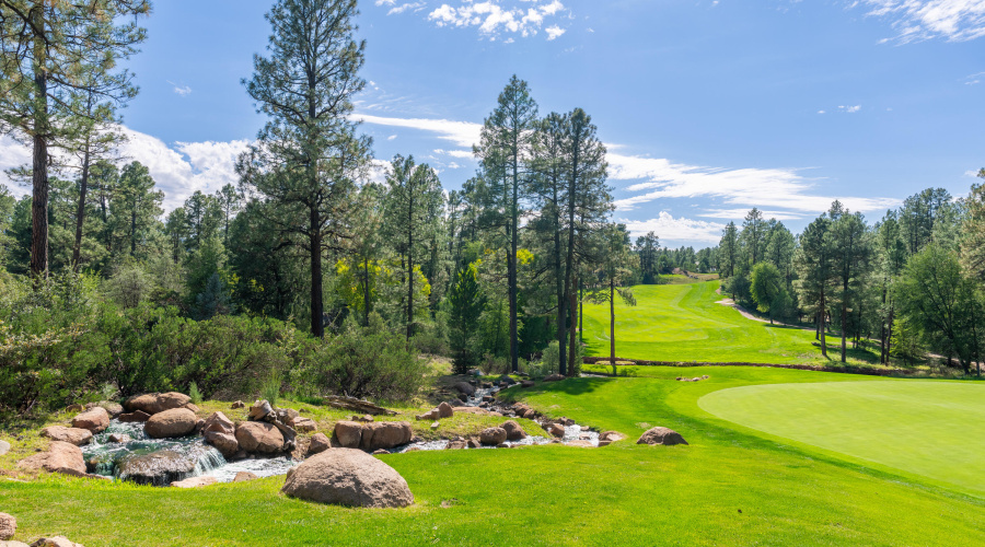 Chaparral Pines - 14