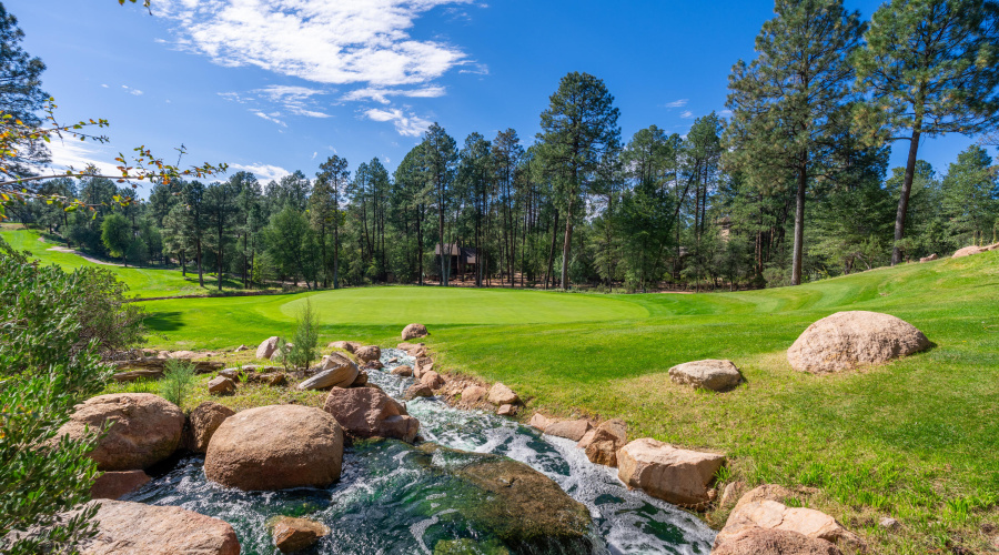Chaparral Pines - 15