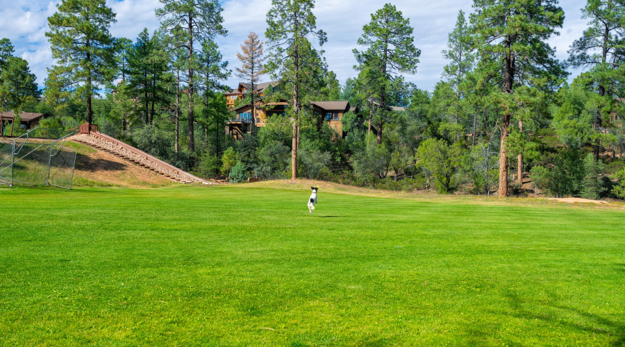 Chaparral Pines - 47