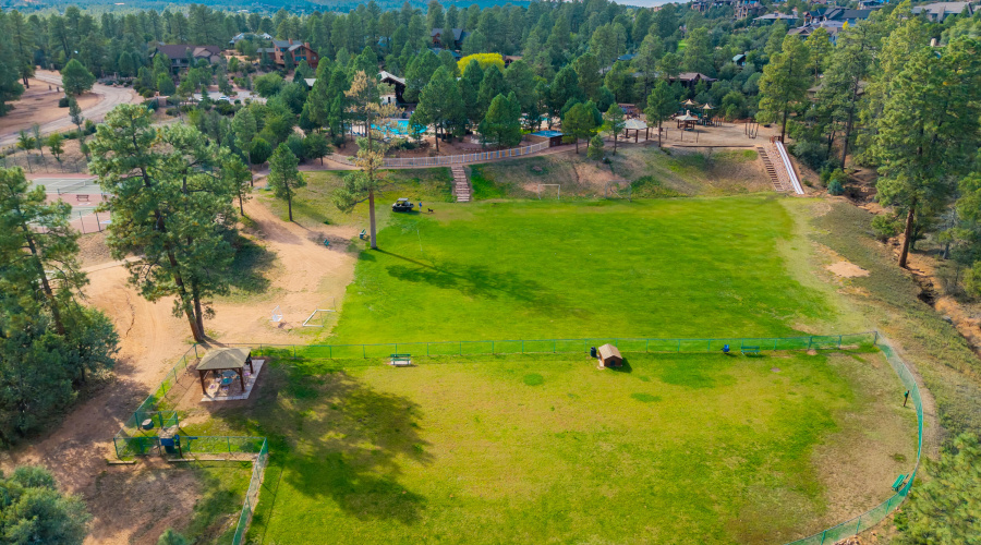 Chaparral Pines - 61