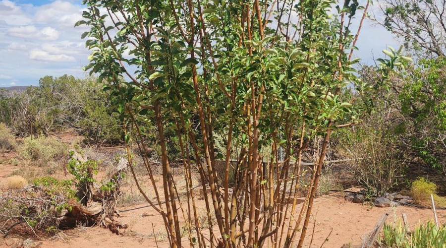 20250829_135056 - Copy