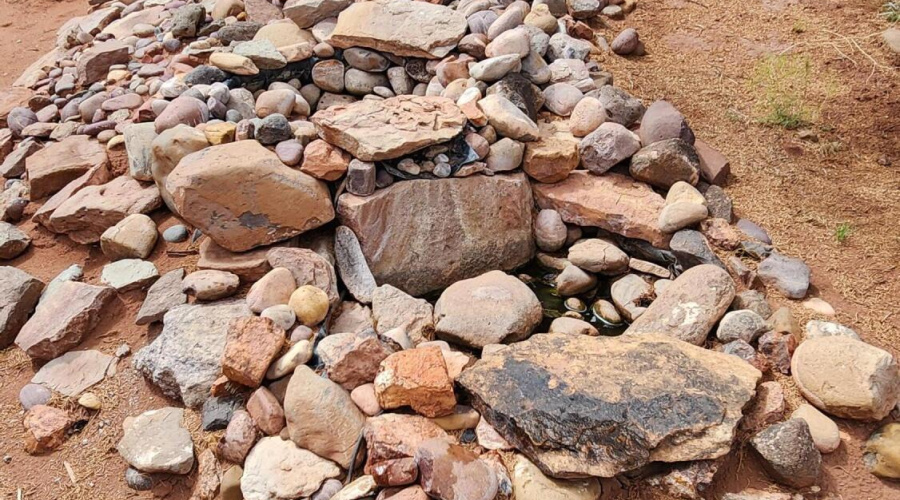 20250829_135315 - Copy