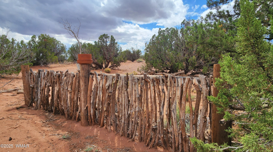 20250829_135336 - Copy