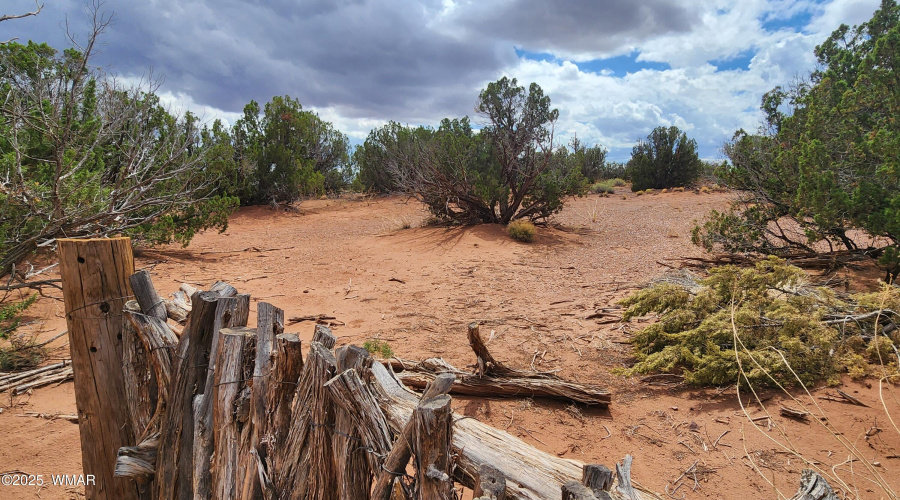 20250829_135352 - Copy