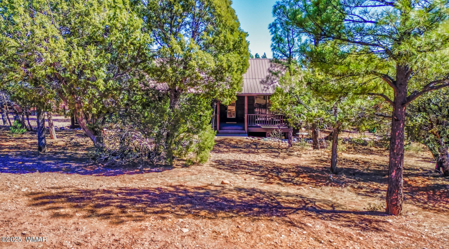 4760-W-Bison-Ln-air-7