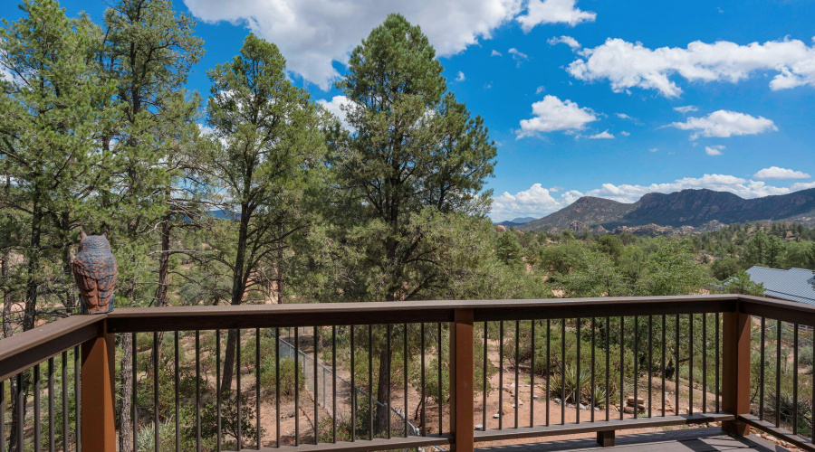 Primary Bedroom Balcony