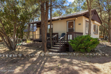 2176 Tenderfoot Trail, Overgaard, Arizona 85933, Bedrooms, ,Bathrooms,Residential,For Sale,Tenderfoot,257816