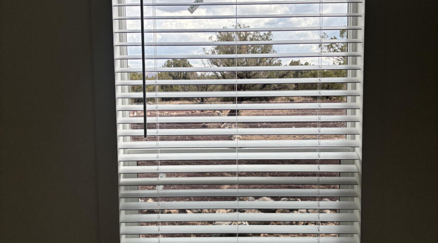 8518RedFoxLane_60348_15