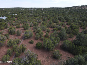 TBD N3481, Vernon, Arizona 85940, ,Land,For Sale,N3481,257817