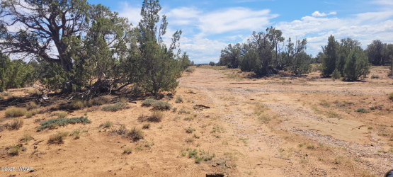 TBD CR5532, Concho, Arizona 85924, ,Land,For Sale,CR5532,257823