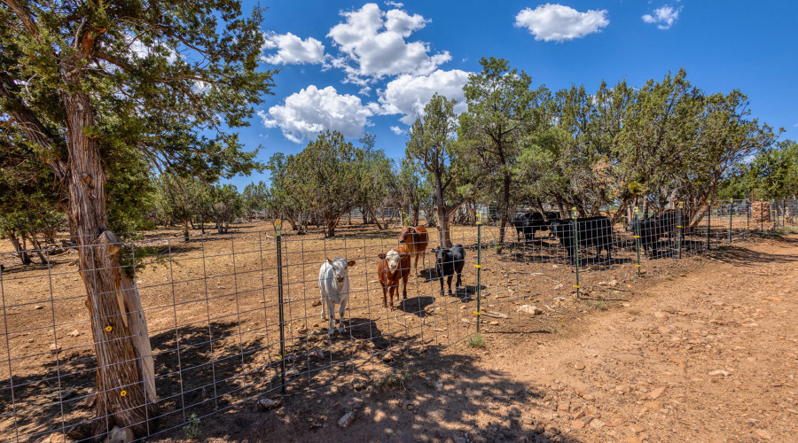 038_photo38_3346_bear_heights_rd._heber_