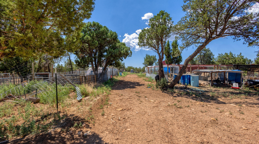 040_photo40_3346_bear_heights_rd._heber_