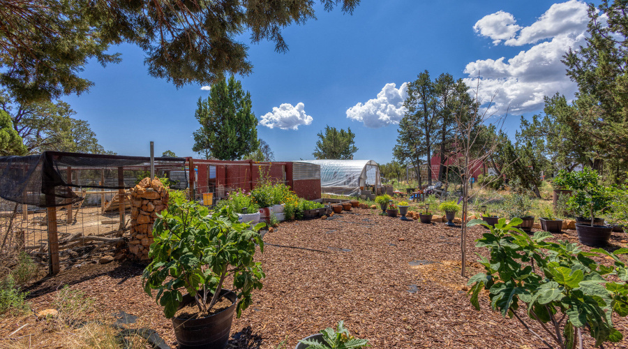 043_photo43_3346_bear_heights_rd._heber_