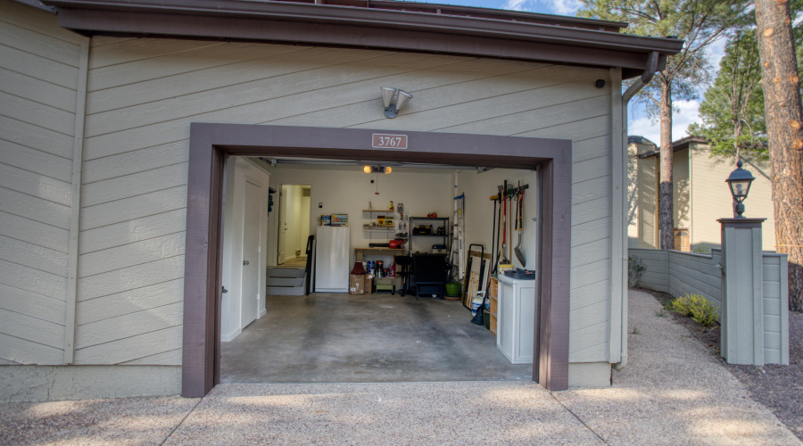 Paxmanphoto_PAX_1113