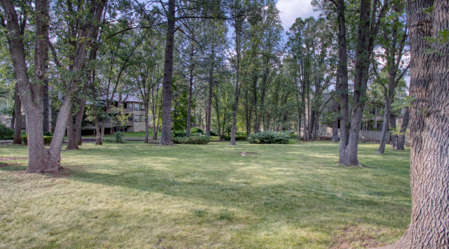 Paxmanphoto_PAX_1125