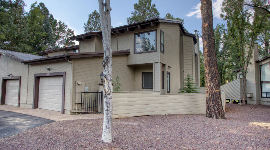 Paxmanphoto_PAX_1118