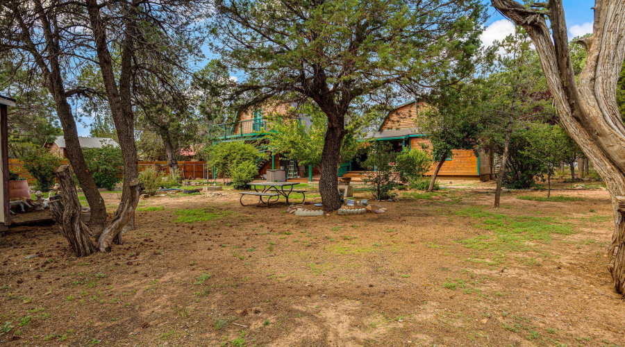 2933WildcatTrail-HeberOvergaard-AZ-35