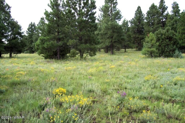 LOT 5A RED CABIN RANCH, Vernon, Arizona 85940, ,Land,For Sale,RED CABIN RANCH,253348
