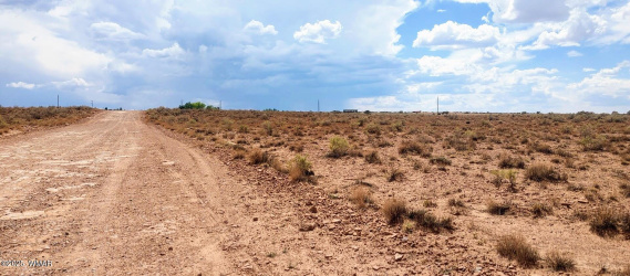 006T Willis Ranch Ln, Snowflake, Arizona 85937, ,Land,For Sale,Willis Ranch Ln,257838