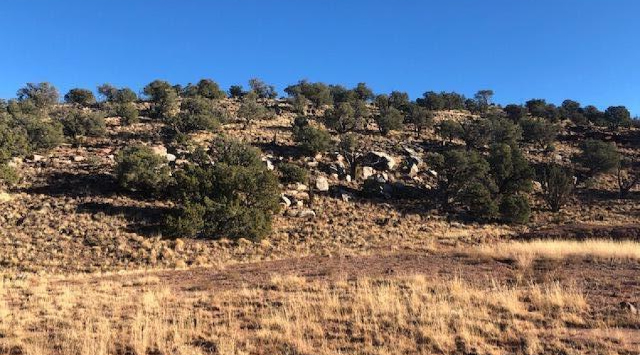 N8526 Lot 13 Slover.4