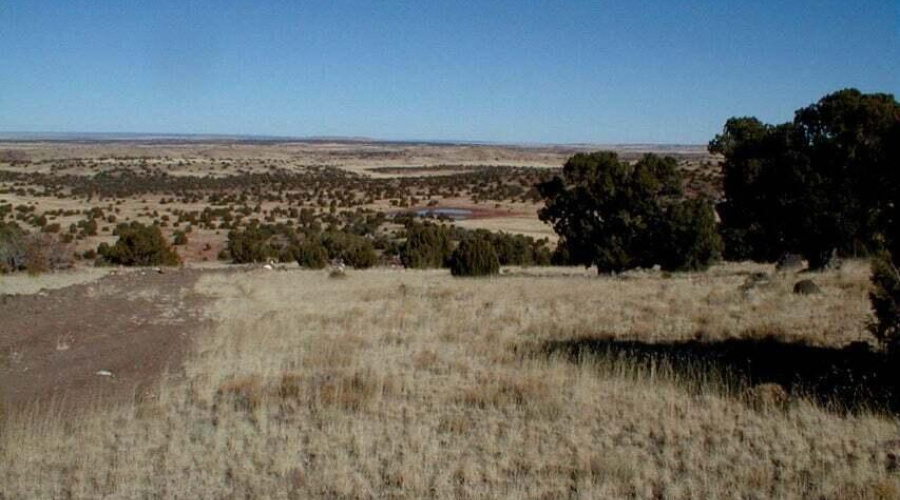 N8526 Lot 13 Slover.5