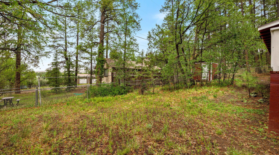 2249SPenrodLn-PinetopLakeside-AZ-23