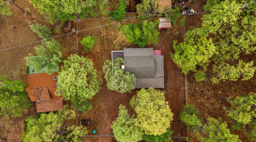 2249SPenrodLn-PinetopLakeside-AZ-29