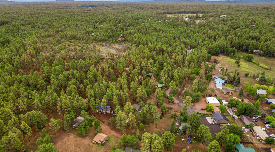 2249SPenrodLn-PinetopLakeside-AZ-32