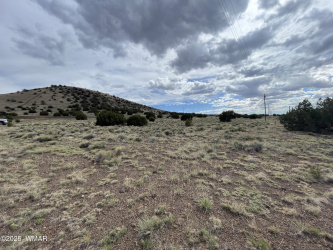 03 Aspen Drive, Concho, Arizona 85924, ,Land,For Sale,Aspen,257860