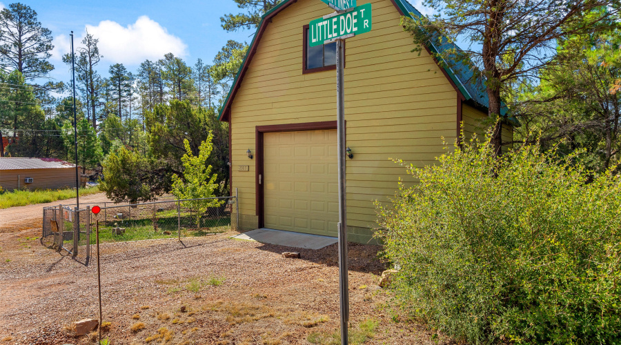 2003 Little Doe Trail, Overgaard, AZ-Cab