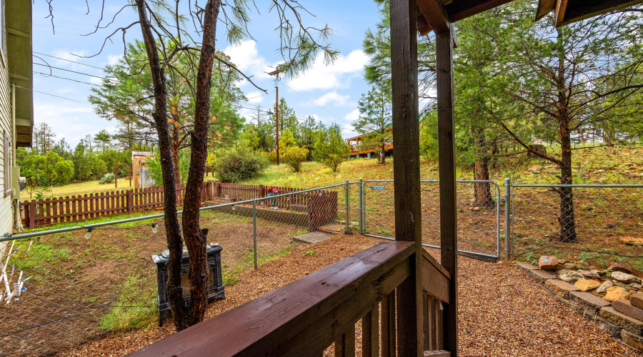 2003 Little Doe Trail, Overgaard, AZ-Cab