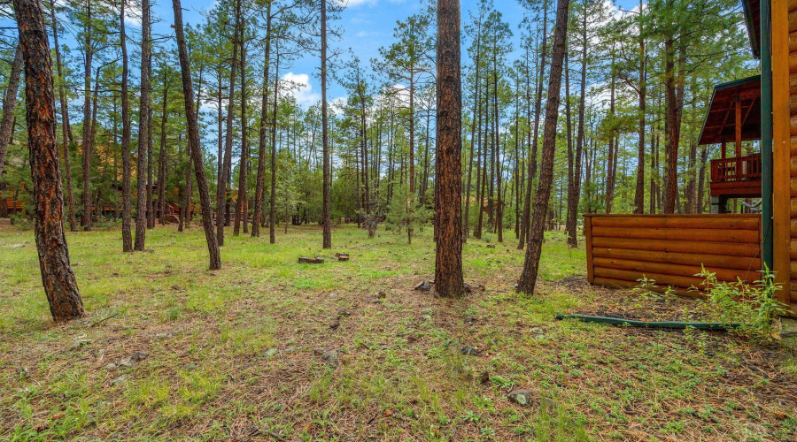 1057LakeShoreDr-PinetopLakeside-AZ-31