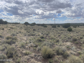 01 Aspen Drive, Concho, Arizona 85924, ,Land,For Sale,Aspen,257856