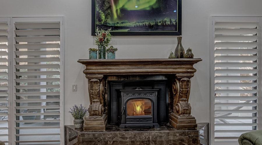 Living Room Pellet Stove